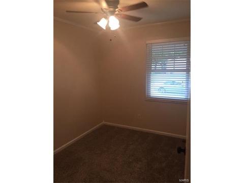 111 Morningside Ln, O'fallon, MO 63366 photo 12