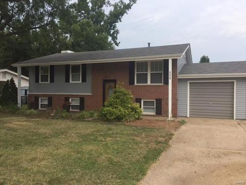 111 Morningside Ln, O'fallon, MO 63366 photo 1