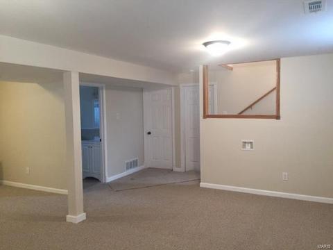 111 Morningside Ln, O'fallon, MO 63366 photo 19