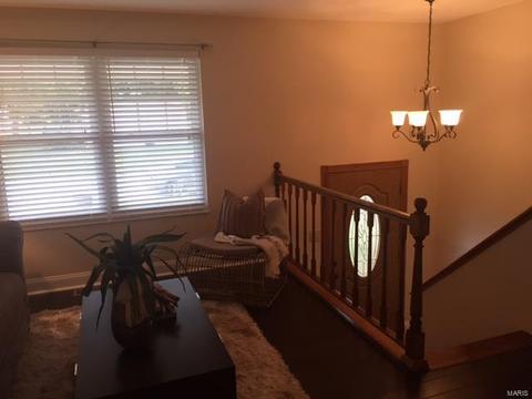 111 Morningside Ln, O'fallon, MO 63366 photo 5