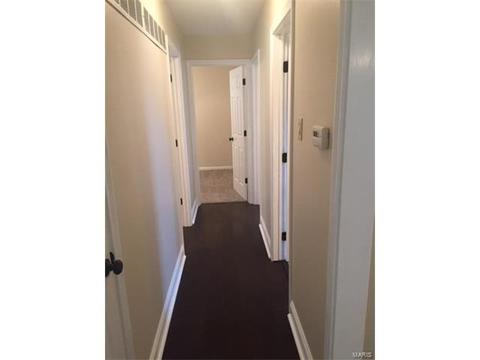 111 Morningside Ln, O'fallon, MO 63366 photo 9