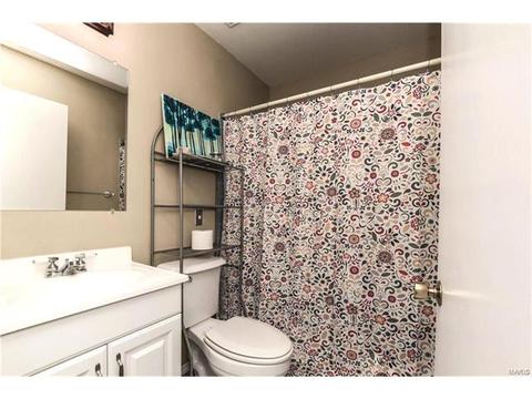 305 Baxter Rd, Ballwin, MO 63011 photo 21