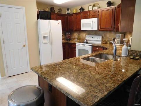 1155 Richland Mdws, Ballwin, MO 63021 photo 17