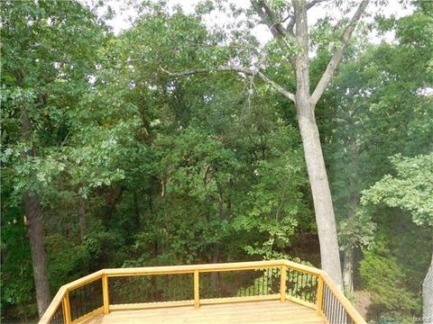 1155 Richland Mdws, Ballwin, MO 63021 photo 39