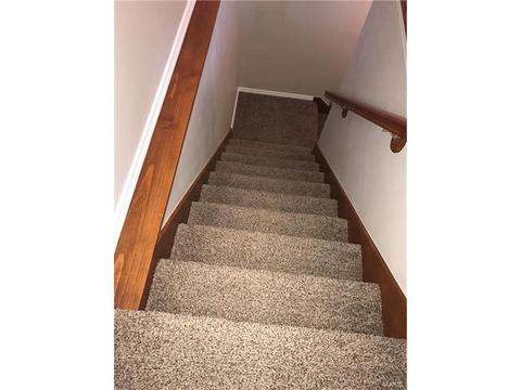 3 Saint Agatha Ct, O'fallon, MO 63366 photo 31