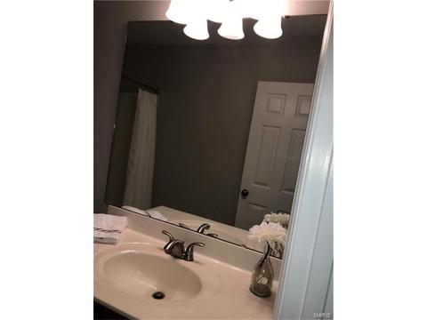 3 Saint Agatha Ct, O'fallon, MO 63366 photo 13