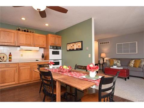 372 Greenmore Dr, Ballwin, MO 63011 photo 14
