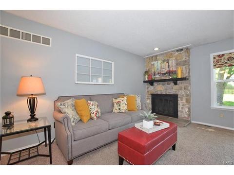 372 Greenmore Dr, Ballwin, MO 63011 photo 11