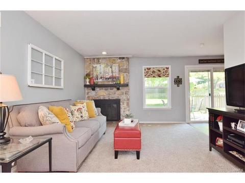 372 Greenmore Dr, Ballwin, MO 63011 photo 13