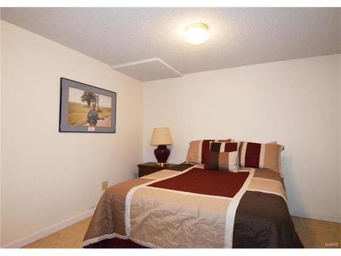 372 Greenmore Dr, Ballwin, MO 63011 photo 25