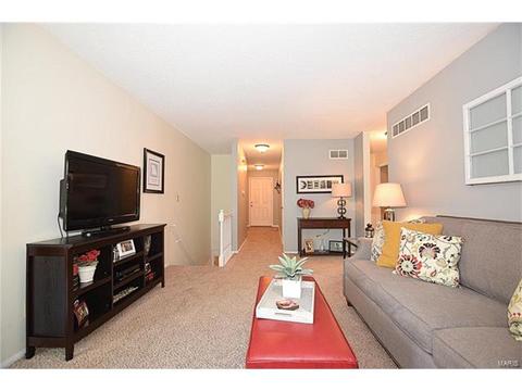 372 Greenmore Dr, Ballwin, MO 63011 photo 12