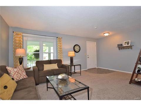372 Greenmore Dr, Ballwin, MO 63011 photo 5