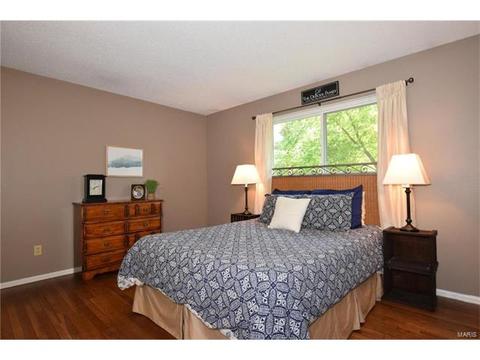 372 Greenmore Dr, Ballwin, MO 63011 photo 18
