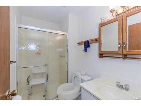 111 Breezeview Dr, Ballwin, MO 63021 photo 15