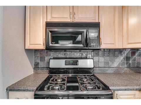 202 Drewel, Eureka, MO 63025 photo 12