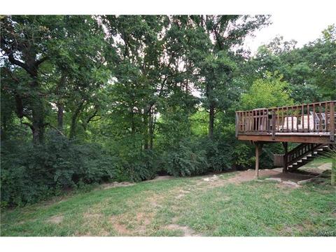 1521 Virginia Dr, Ellisville, MO 63011 photo 29