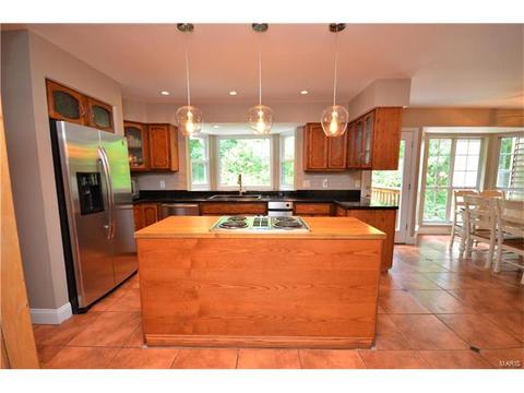 1521 Virginia Dr, Ellisville, MO 63011 photo 12