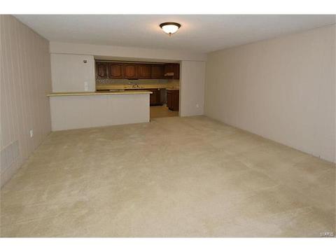 998 Claygate Ct, Ballwin, MO 63021 photo 23