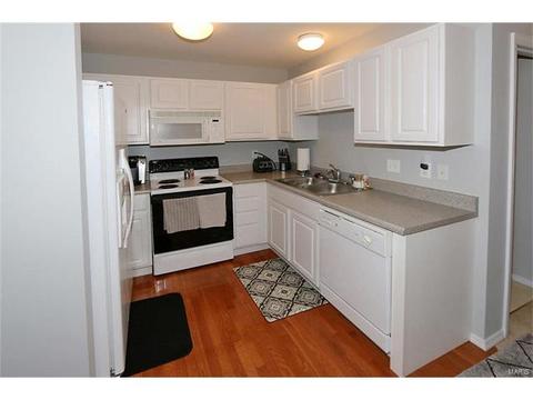 1309 Parkview Ests, Ellisville, MO 63021 photo 8