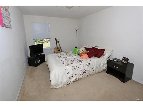 1309 Parkview Ests, Ellisville, MO 63021 photo 19
