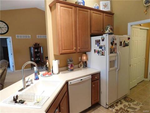 1708 Diamond Ridge Ct, O'fallon, MO 63366 photo 19
