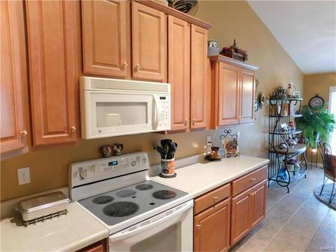 1708 Diamond Ridge Ct, O'fallon, MO 63366 photo 18