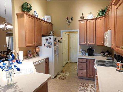1708 Diamond Ridge Ct, O'fallon, MO 63366 photo 17