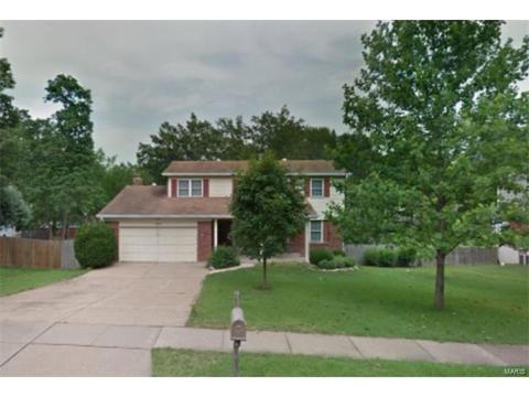 630 Amber Jack Dr, Ballwin, MO 63021 photo 1