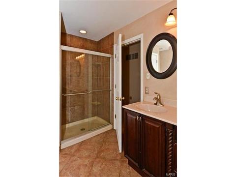 437 Buckhurst Dr, Ballwin, MO 63021 photo 22