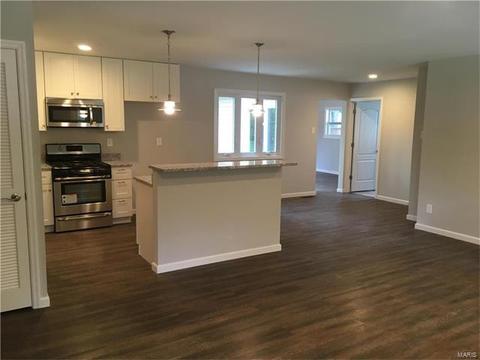 819 Brookvale Ter, Ballwin, MO 63021 photo 4
