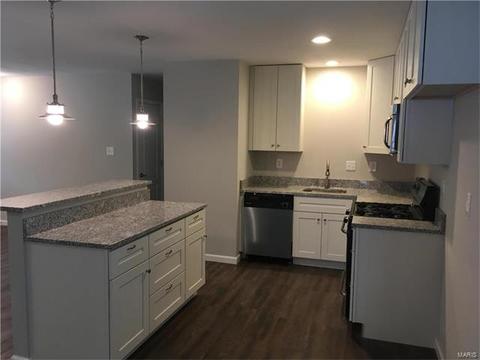 819 Brookvale Ter, Ballwin, MO 63021 photo 6