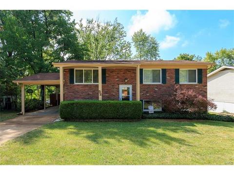 52 Saint Lawrence Dr, Ballwin, MO 63021 photo 1