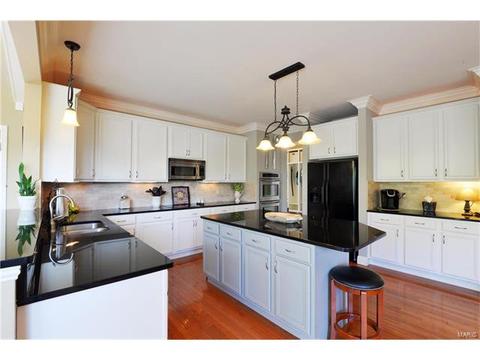 1410 Lucerne Pl, Weldon Spring, MO 63304 photo 16