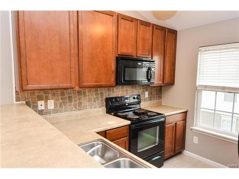 7300 Spring Creek Ln, O'fallon, MO 63368 photo 7