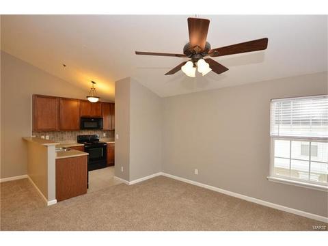 7300 Spring Creek Ln, O'fallon, MO 63368 photo 5