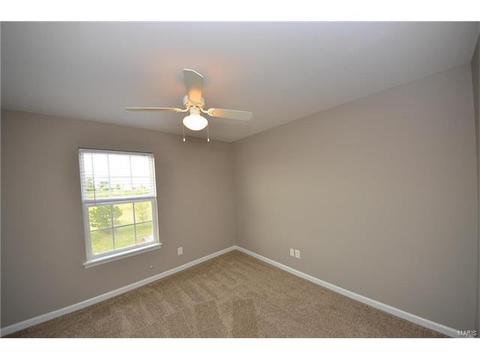 7300 Spring Creek Ln, O'fallon, MO 63368 photo 10