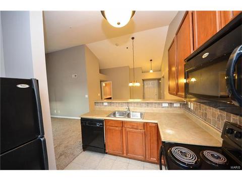 7300 Spring Creek Ln, O'fallon, MO 63368 photo 6