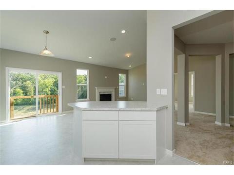 246 Thorn Brook Dr, O'fallon, MO 63366 photo 9