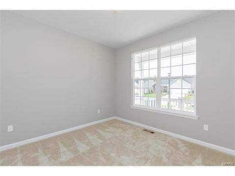 246 Thorn Brook Dr, O'fallon, MO 63366 photo 15