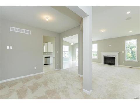 246 Thorn Brook Dr, O'fallon, MO 63366 photo 19