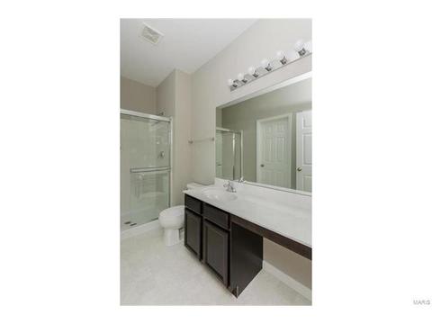 246 Thorn Brook Dr, O'fallon, MO 63366 photo 23