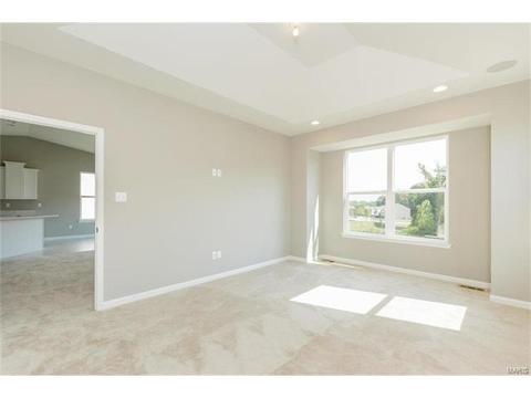 246 Thorn Brook Dr, O'fallon, MO 63366 photo 13