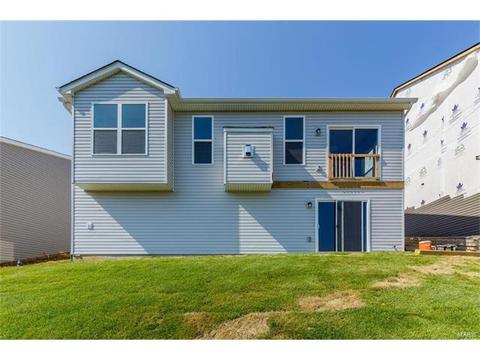 246 Thorn Brook Dr, O'fallon, MO 63366 photo 18