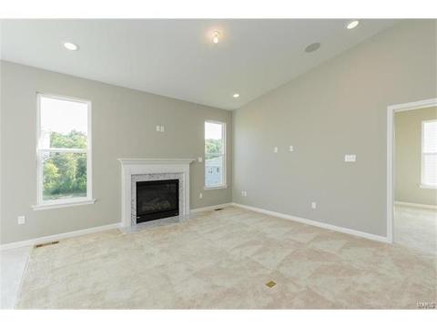 246 Thorn Brook Dr, O'fallon, MO 63366 photo 8