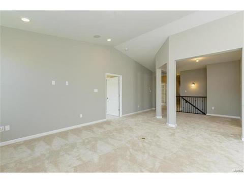 246 Thorn Brook Dr, O'fallon, MO 63366 photo 21
