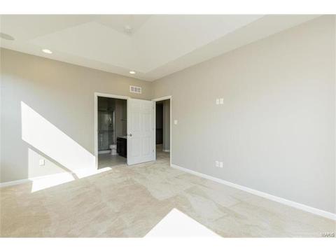 246 Thorn Brook Dr, O'fallon, MO 63366 photo 22