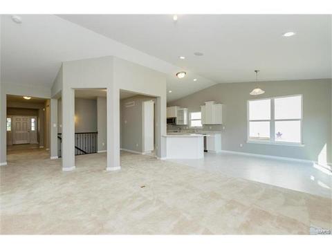 246 Thorn Brook Dr, O'fallon, MO 63366 photo 7