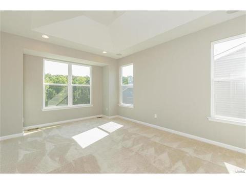 246 Thorn Brook Dr, O'fallon, MO 63366 photo 6