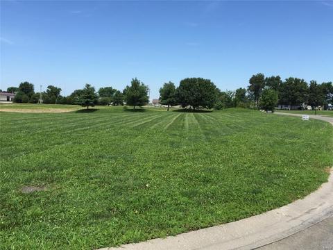 983 Kleefeld Ln, Saint Libory, IL 62282 photo 1