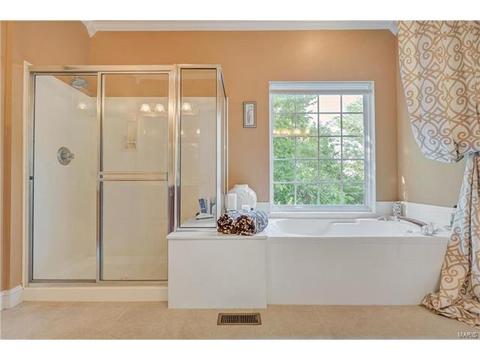 1406 Lucerne, Weldon Spring, MO 63304 photo 42